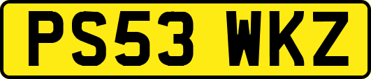 PS53WKZ
