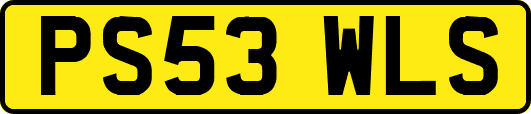 PS53WLS