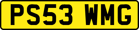 PS53WMG