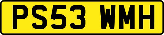 PS53WMH