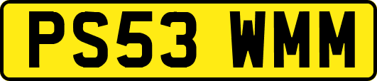 PS53WMM