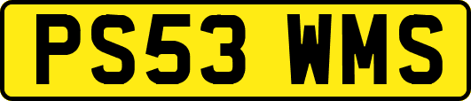 PS53WMS
