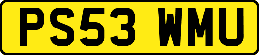 PS53WMU