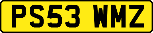 PS53WMZ