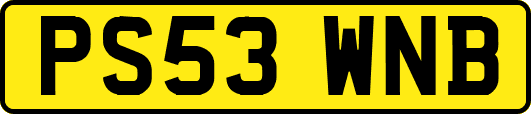 PS53WNB