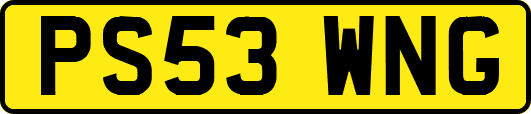 PS53WNG