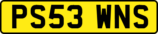 PS53WNS