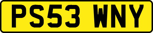 PS53WNY