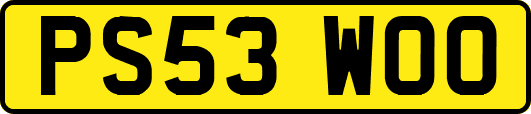 PS53WOO