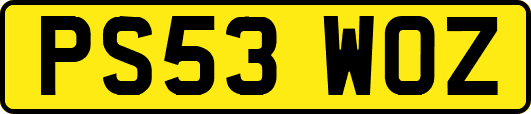 PS53WOZ