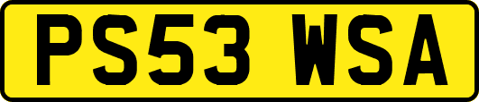 PS53WSA