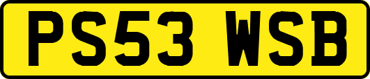 PS53WSB