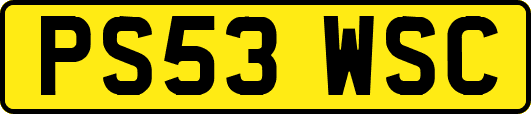 PS53WSC
