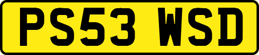 PS53WSD