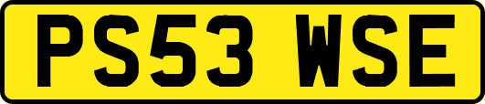 PS53WSE