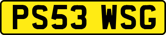 PS53WSG