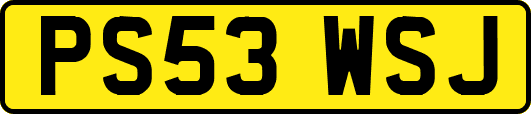 PS53WSJ