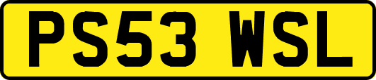 PS53WSL