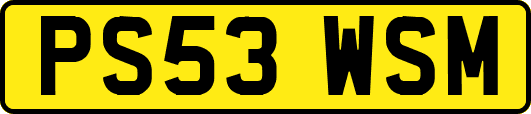 PS53WSM