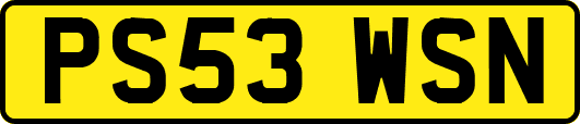 PS53WSN
