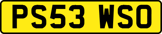 PS53WSO