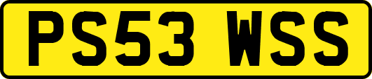PS53WSS