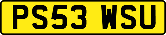 PS53WSU