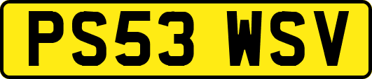 PS53WSV