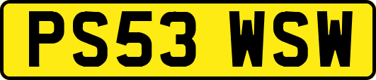 PS53WSW