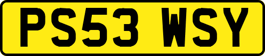 PS53WSY