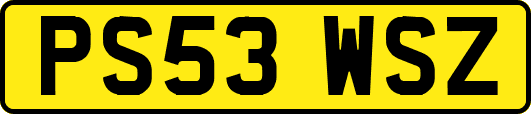 PS53WSZ