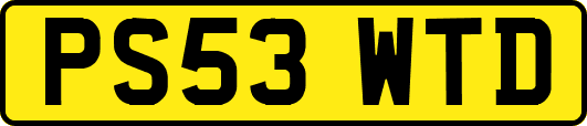 PS53WTD