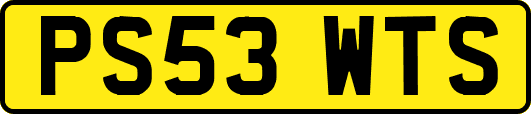 PS53WTS