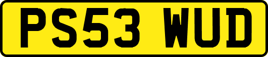 PS53WUD