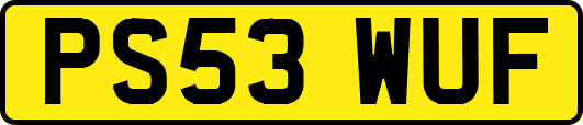 PS53WUF