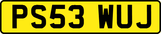 PS53WUJ