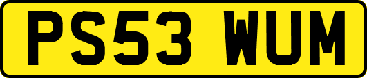 PS53WUM