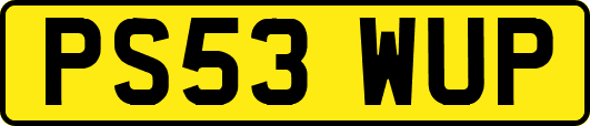 PS53WUP