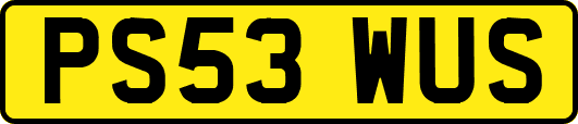 PS53WUS