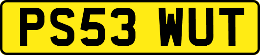 PS53WUT