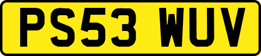 PS53WUV