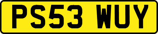 PS53WUY