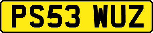 PS53WUZ