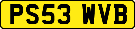 PS53WVB
