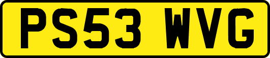 PS53WVG
