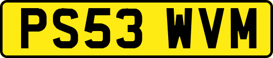 PS53WVM