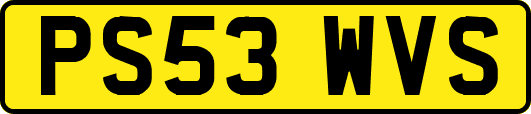 PS53WVS