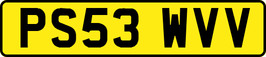 PS53WVV