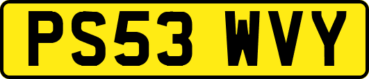 PS53WVY