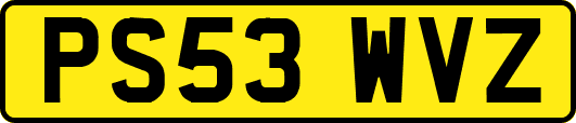 PS53WVZ